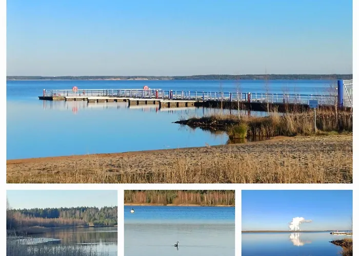 Lily, Bärwalder See, Lausitz